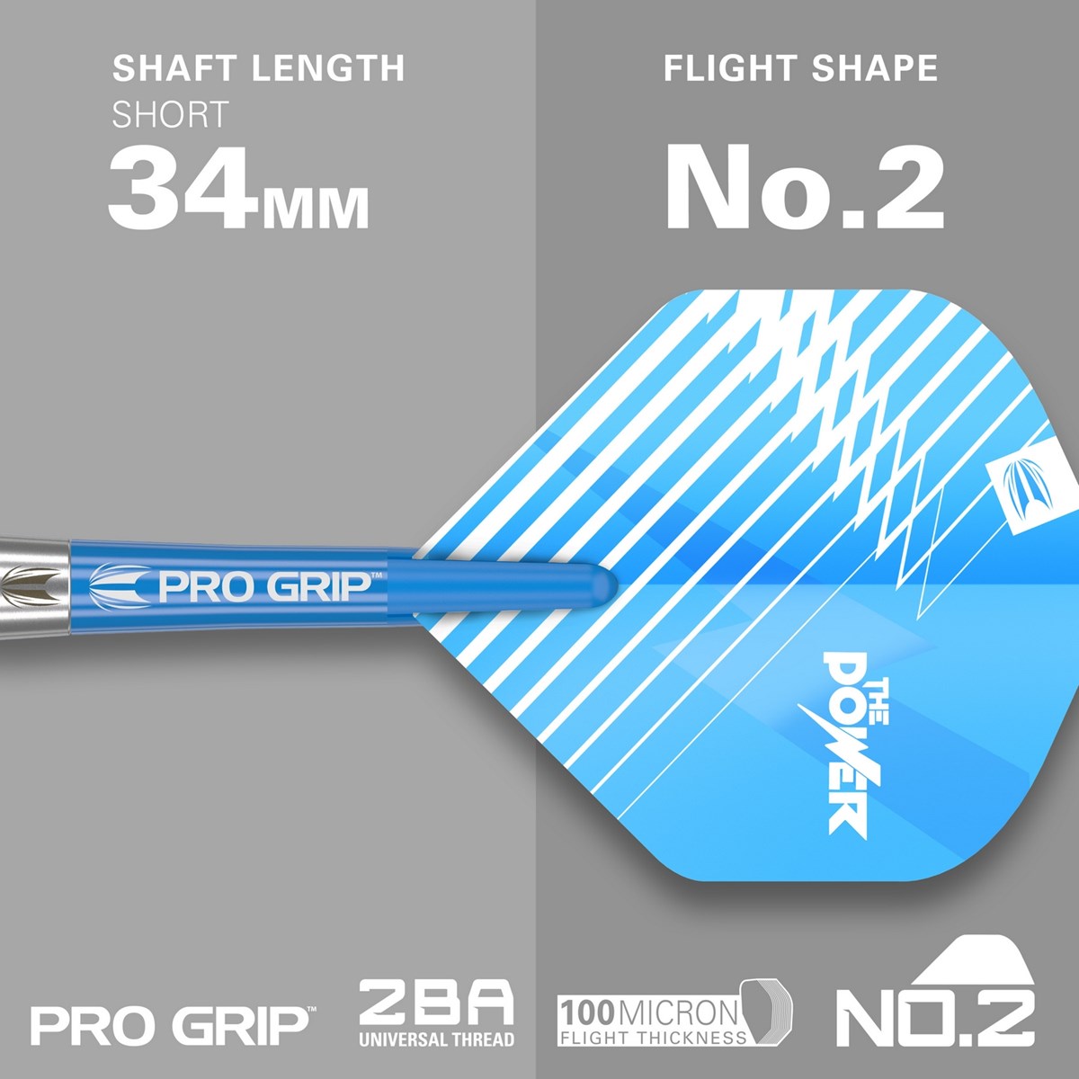 Target Darts Phil Taylor Brass Steel Tip Dart 22 gram