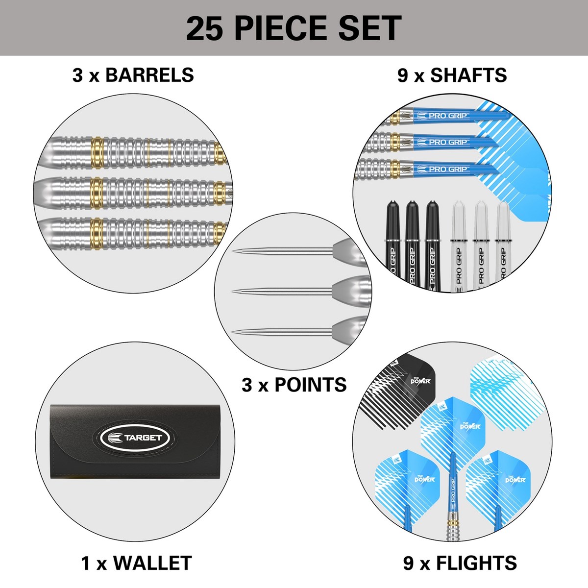 Target Darts Phil Taylor Brass Steel Tip Dart 22 gram
