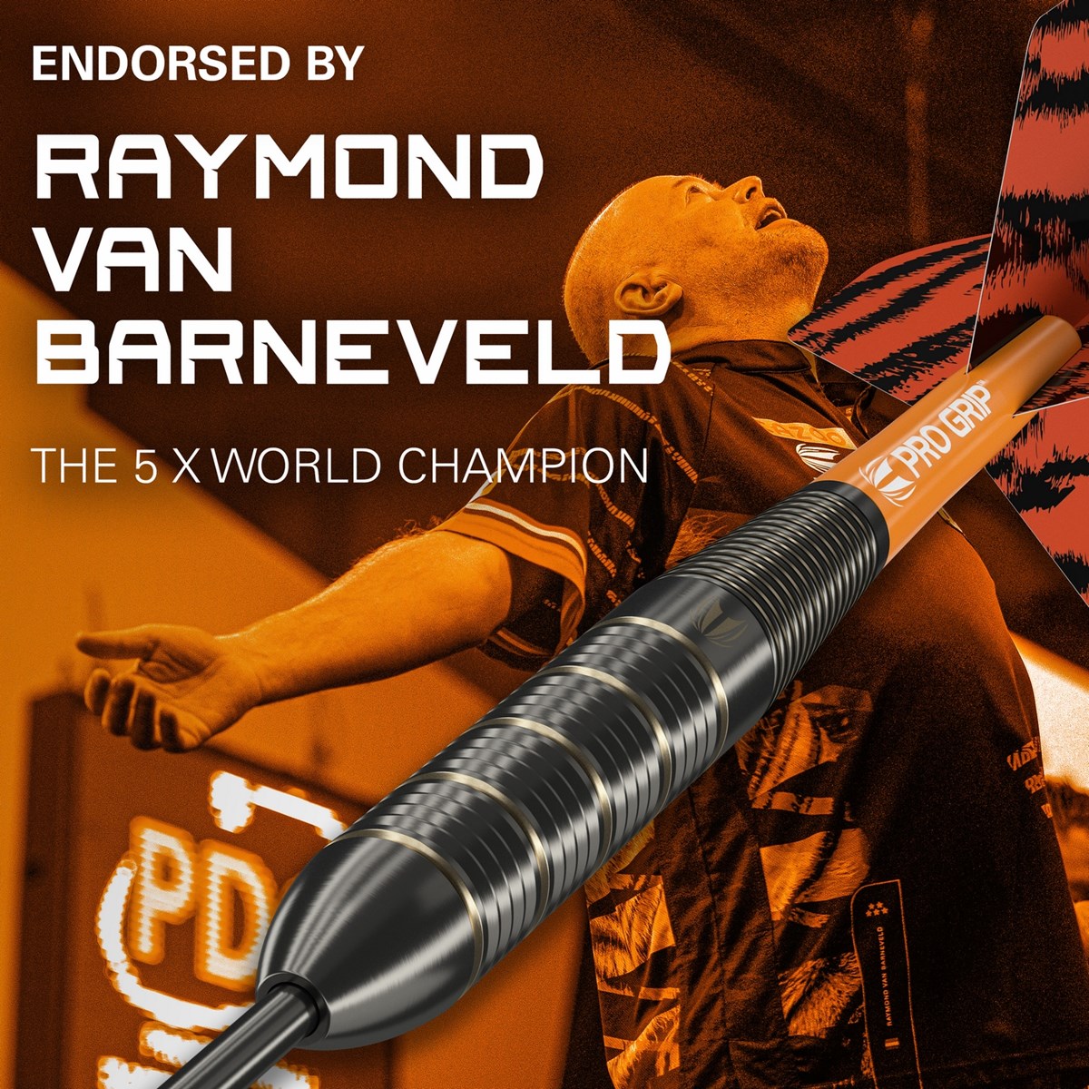 Target Darts RVB Brass Steel Tip Darts  22 grams