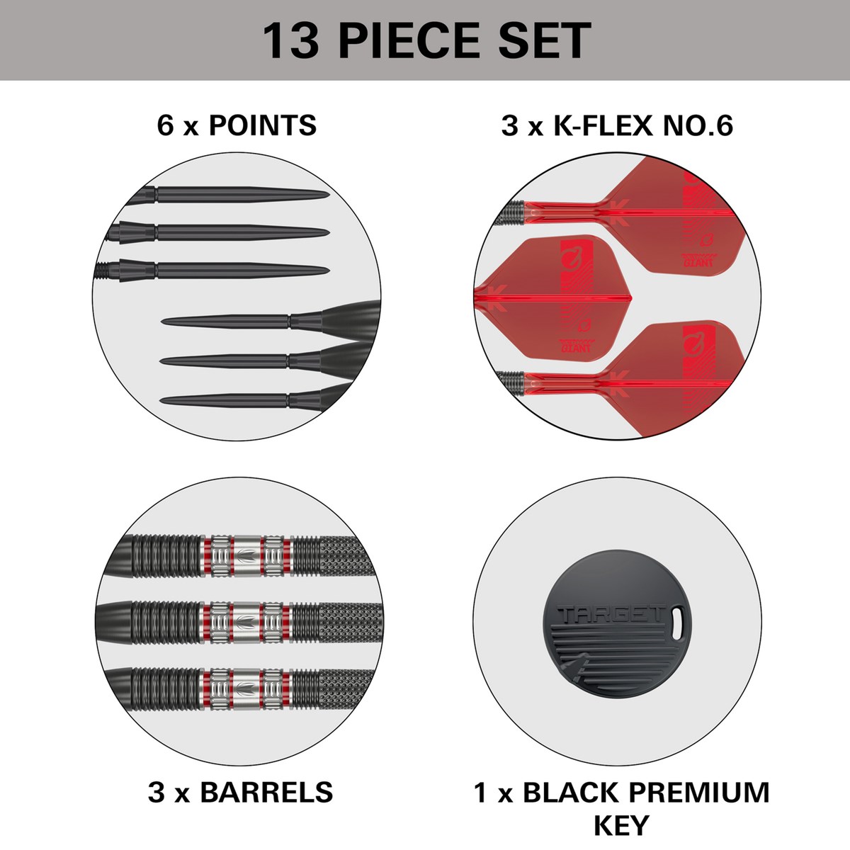 Target Darts Gabriel Clemens 95K 95% Tungsten SP Steel Tip  21 grams