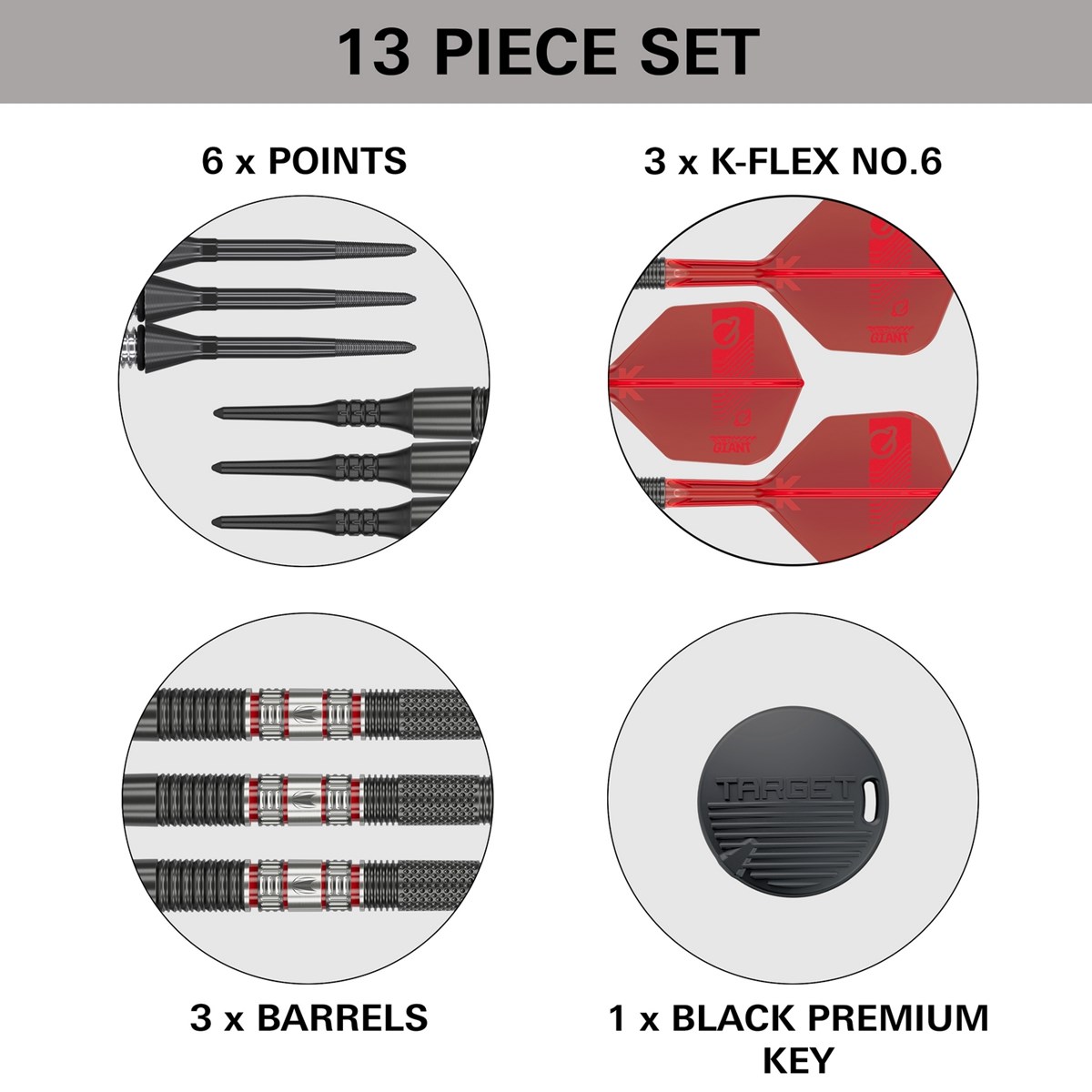 Target Darts Gabriel Clemens 95K 95% Tungsten Soft Tip  19 grams