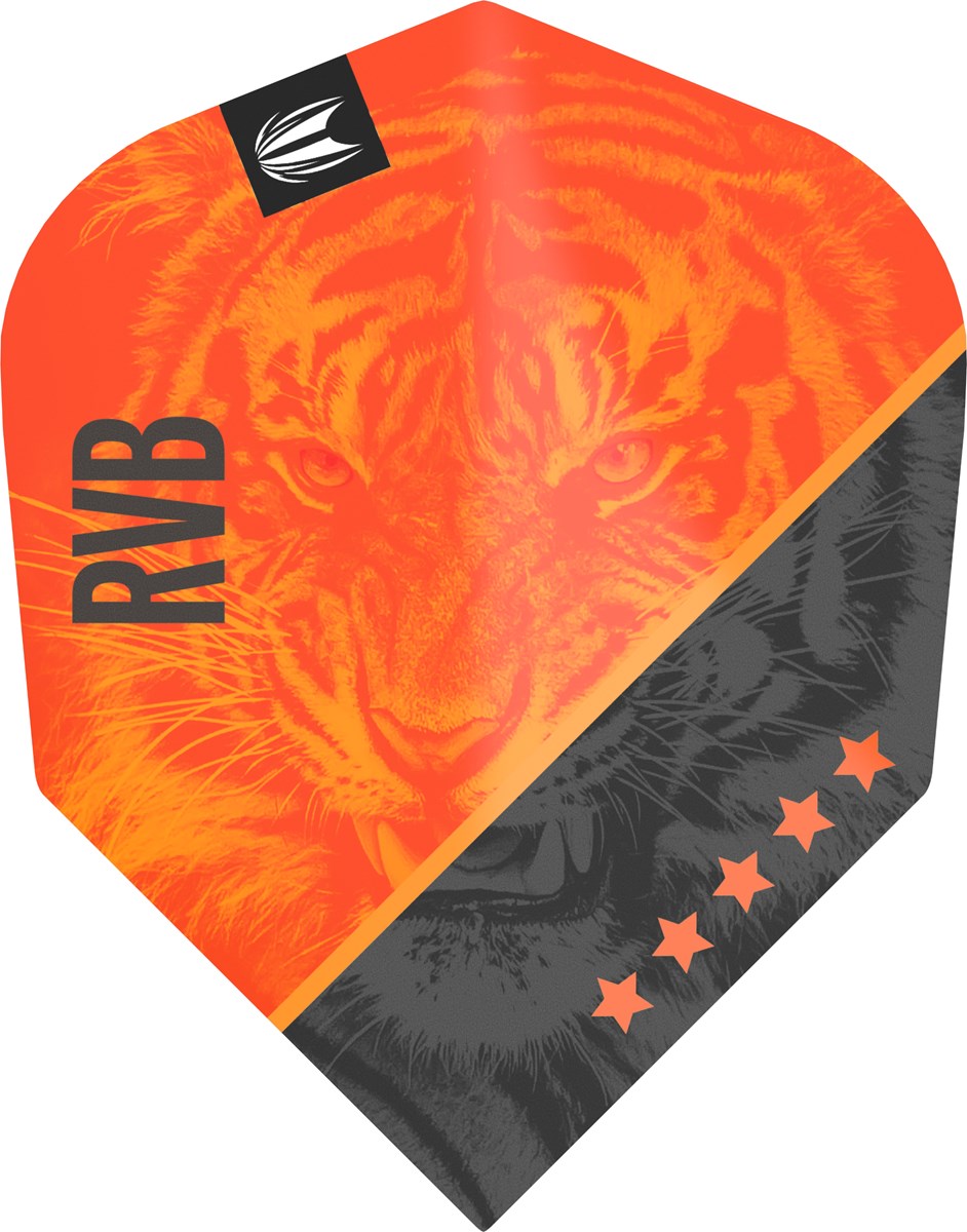 Target Darts Raymond Van Barneveld Gen 4 95% Swiss Point Steel Tip Darts 21 grams