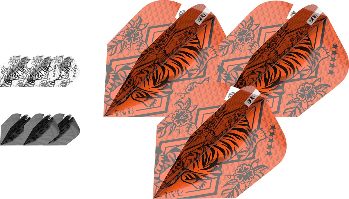 Target Darts Raymond Van Barneveld Ink Flight Bundle - Ten-X