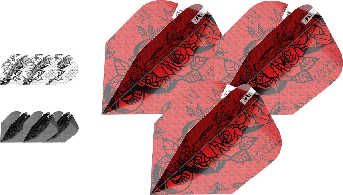 Target Darts Nathan Aspinall Ink Flight Bundle - Ten-X