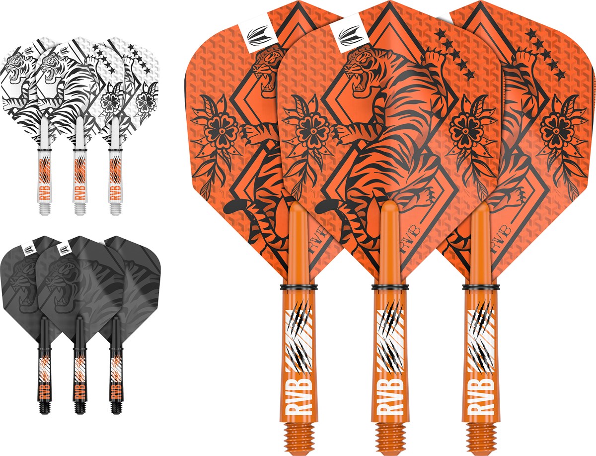 Target Darts Raymond Van Barneveld Ink Flight & Shaft Kit - Short