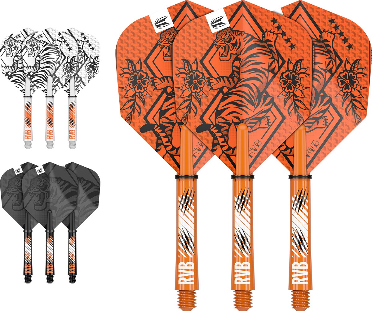 Target Darts Raymond Van Barneveld Ink Flight & Shaft Kit - Intermediate