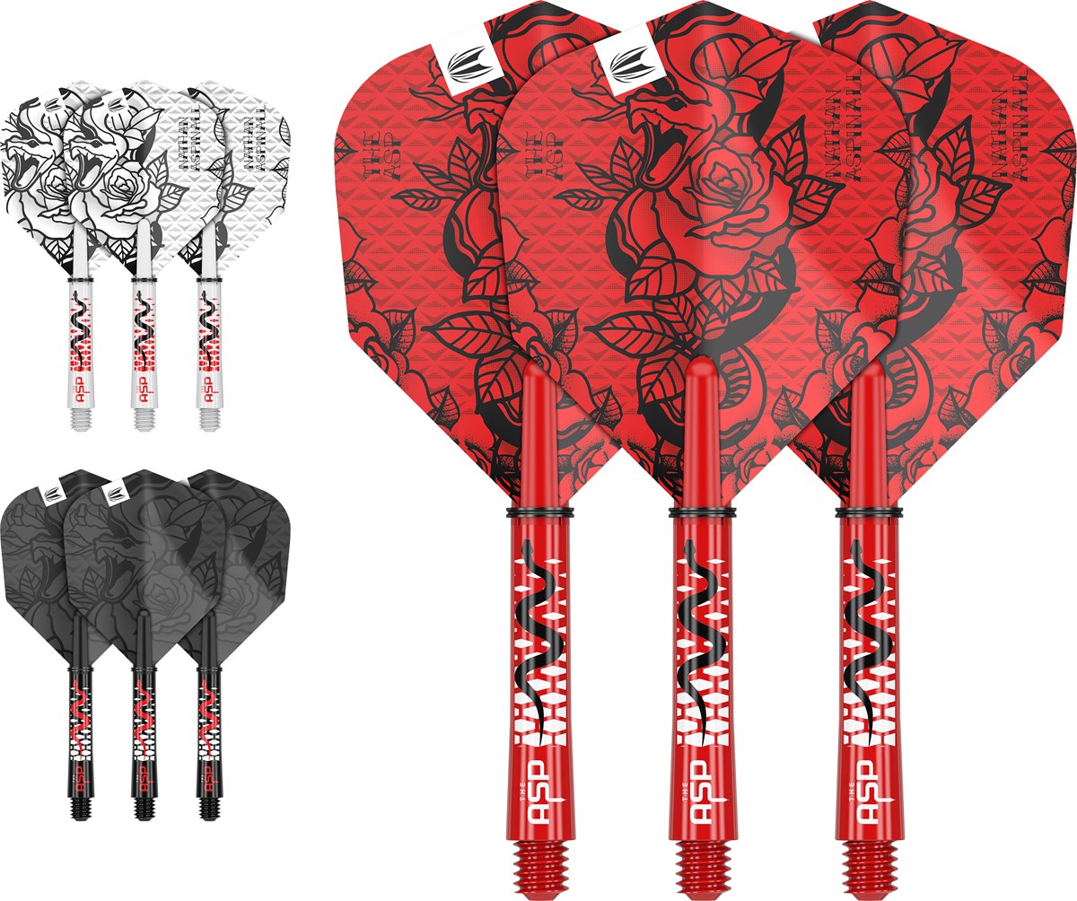 Target Darts Nathan Aspinall Ink Flight & Shaft Kit - Intermediate