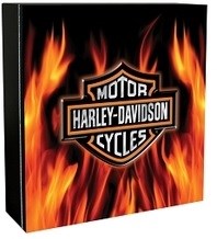 Harley Davidson Flame Cabinet